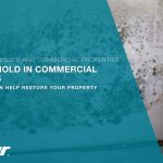 Photo of extensive mold growth on a wall