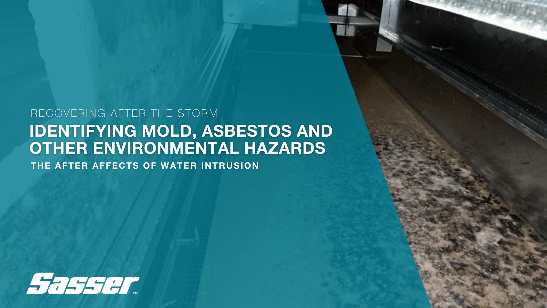 Photo of a wall covered in mold after water intrusion