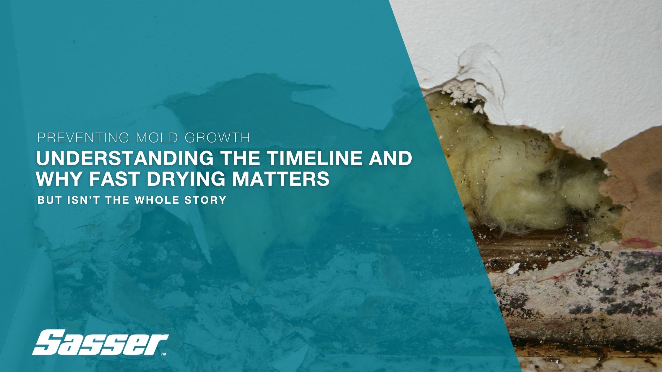 Photo of mold damaged wall