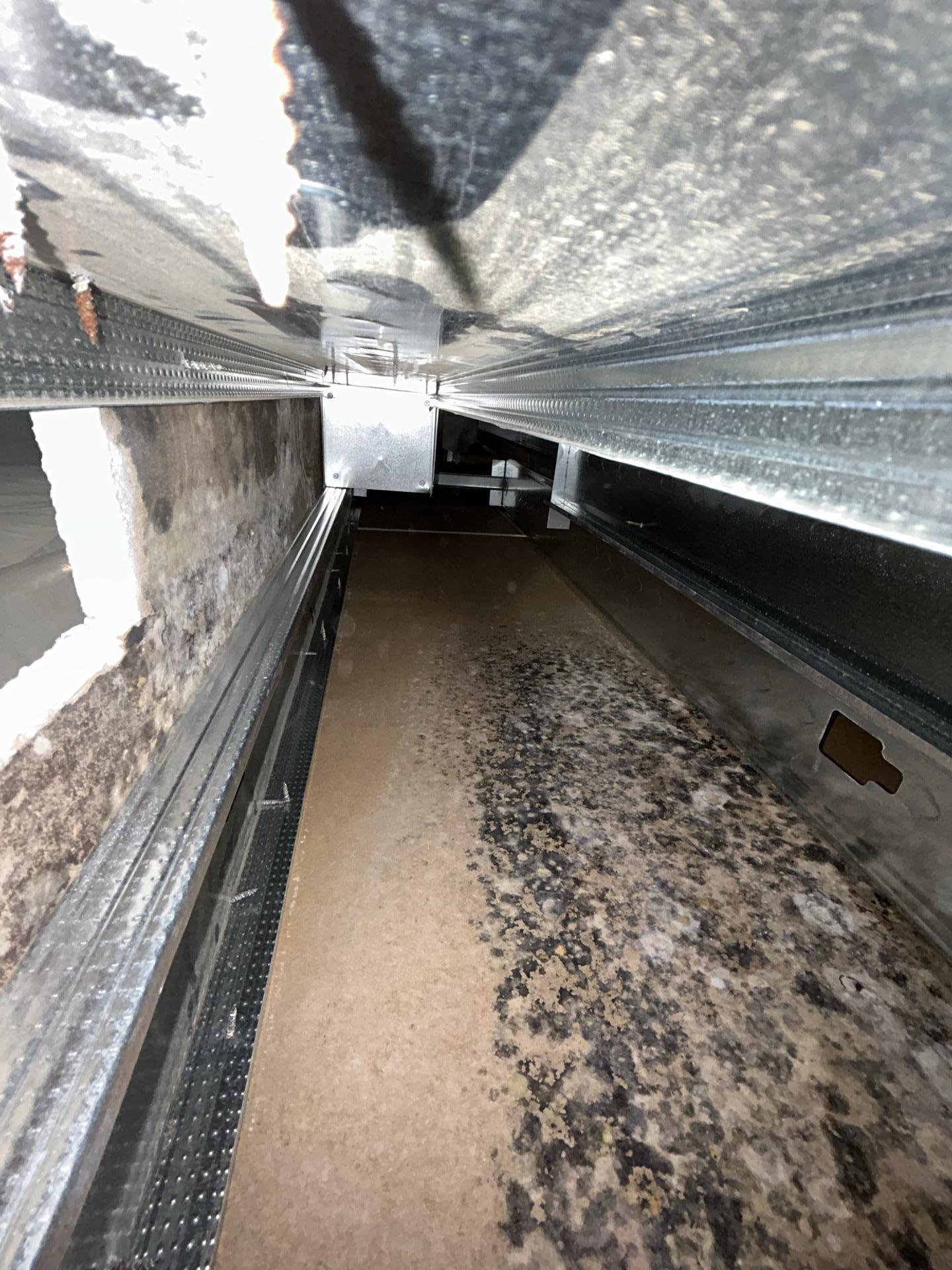 Photo of mold growth at a fitness center